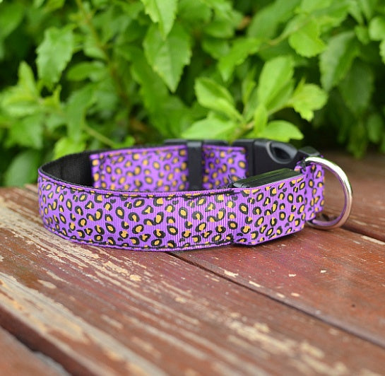 LED safety collar for dogs, photo 13 of 20