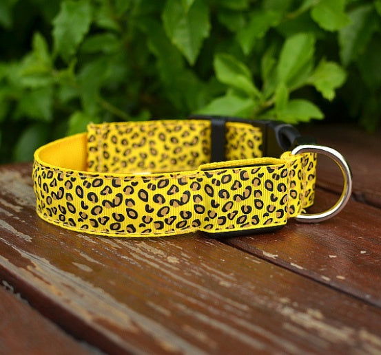 LED safety collar for dogs, photo 17 of 20