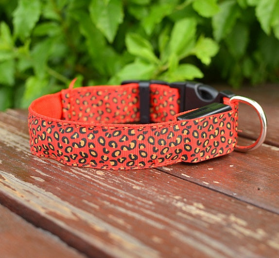 LED safety collar for dogs, photo 15 of 20