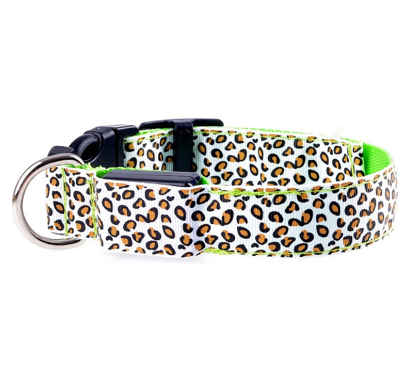 LED safety collar for dogs, photo 9 of 20