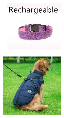 LED safety collar for dogs, photo 19 of 20
