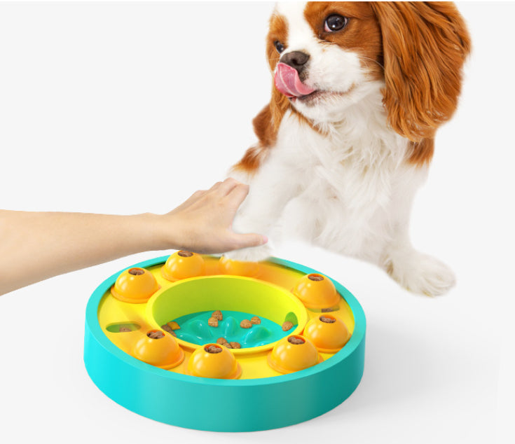 Puzzle slow feeder bowl for dogs and cats, photo 9
