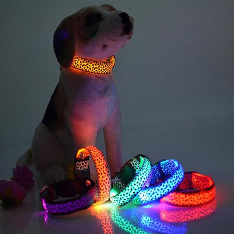 LED safety collar for dogs, glowing light for night walks, photo 1 of 20