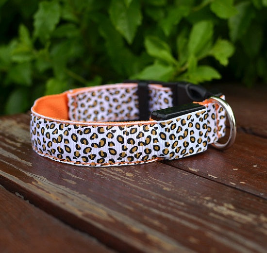 LED safety collar for dogs, photo 11 of 20