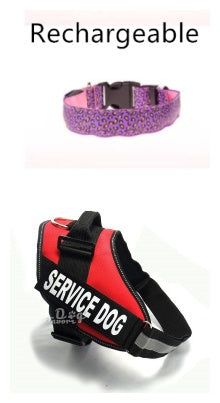LED safety collar for dogs, photo 20 of 20